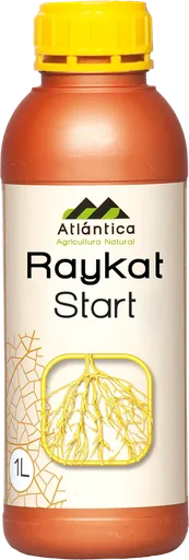 РАЙКАТ Старт