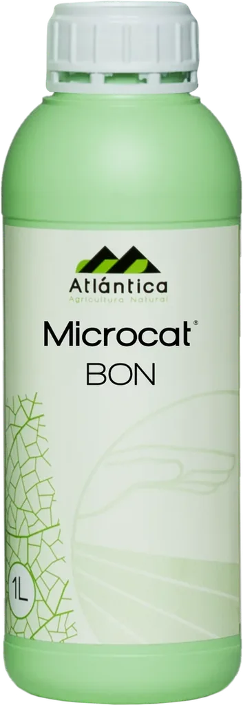 МІКРОКАТ Бон